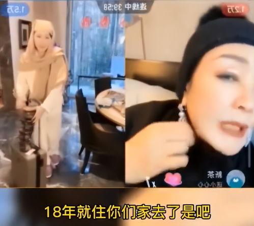 张兰吃瓜直播在线观看免费,揭秘娱乐圈幕后故事，免费观看精彩不断